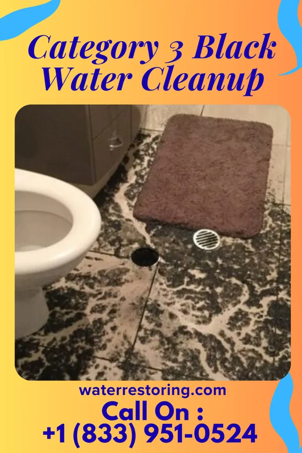 Category 3 Black Water Cleanup in Latta, SC