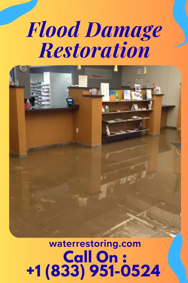 Flood Damage Restoration in Latta, SC