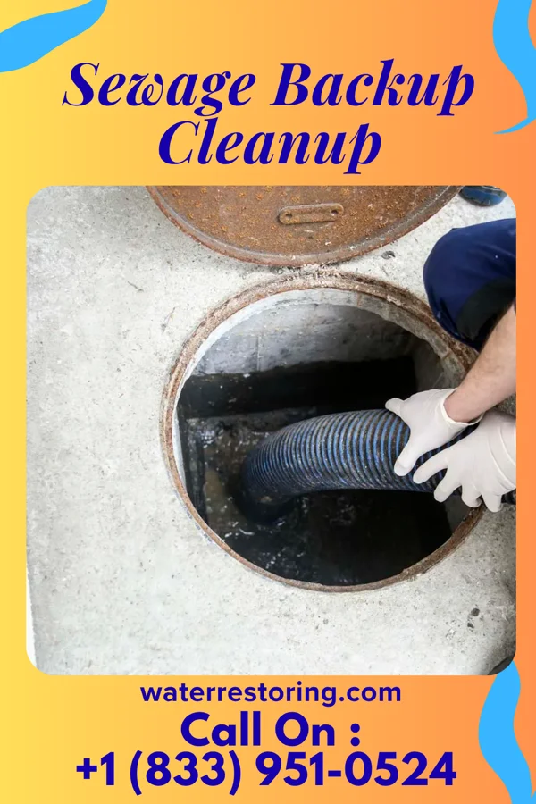 Sewage Backup Cleanup in Latta, SC