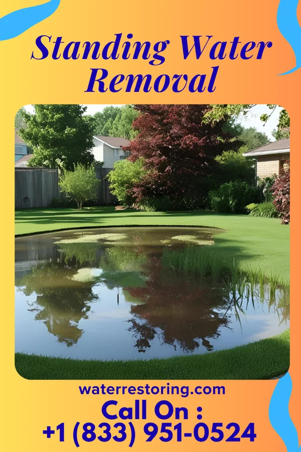 Standing Water Removal in Latta, SC